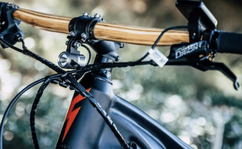 Sustainable bicycles made from bamboo help change lives – Viable Earth